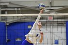 Volleyball vs Babson  Wheaton Women's Volleyball vs Babson College. - Photo by Keith Nordstrom : Wheaton, Volleyball, VB